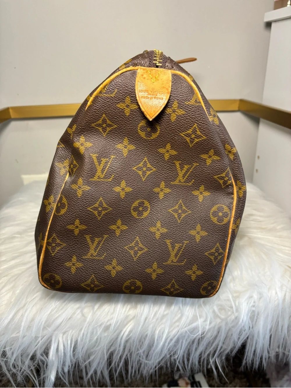 Louis Vuitton Monogram Canvas Speedy Handbag - Brown/Tan